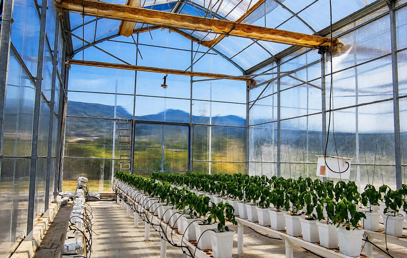 Invernadero del proyecto MedGreenSOS